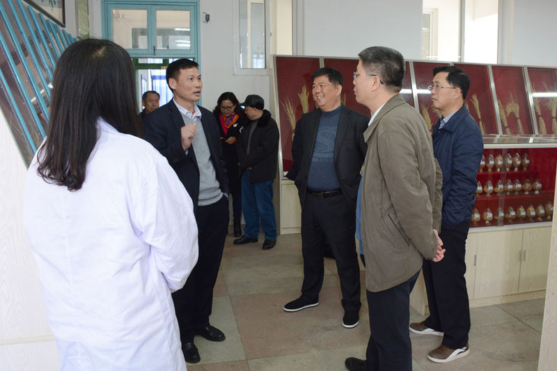 1520560688322023137.jpg DSC_2700.jpg