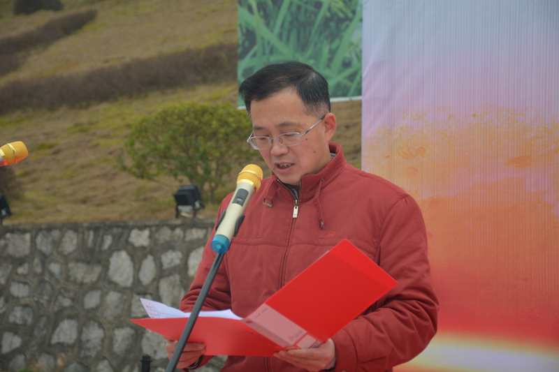 1608803794856057585.jpg DSC_6407.jpg